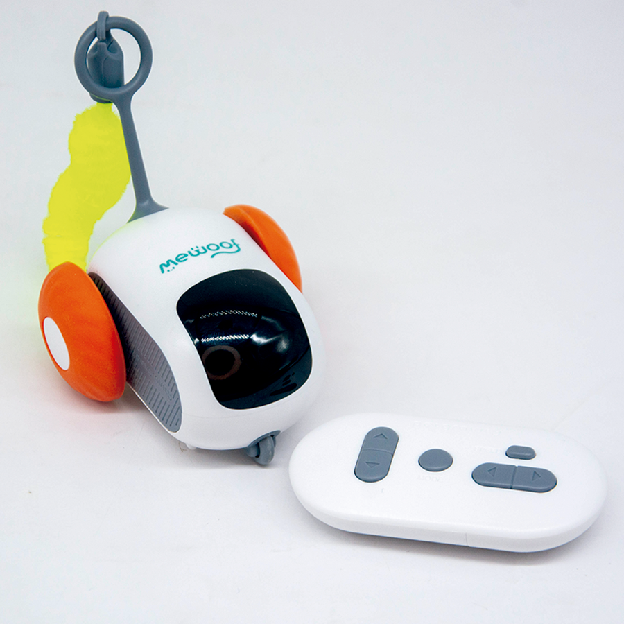 Carrinho Interativo com Controle Remoto