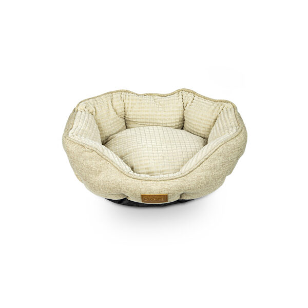 Caminha Conforto
